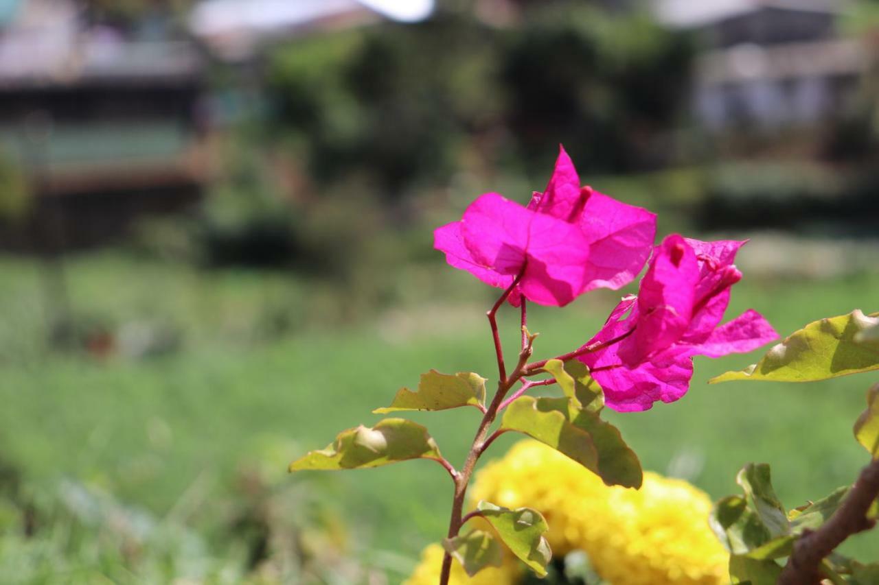 Zion White House Hotel Nuwara Eliya Kültér fotó